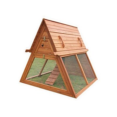 chicken coop for Heather's chickens