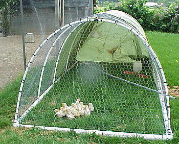 PVC Chicken Tractor