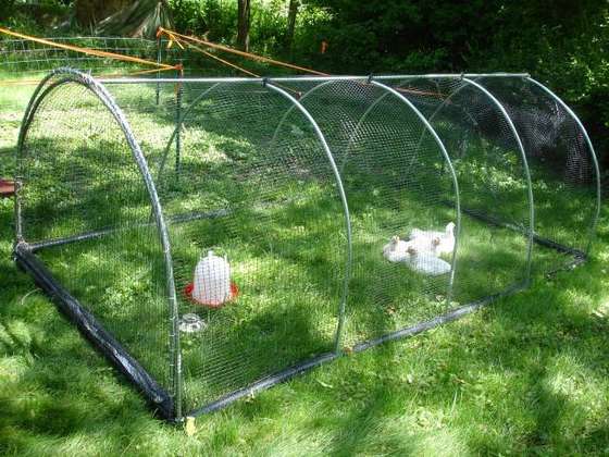 chicken coop for Heather's chickens in Lawrence, KS