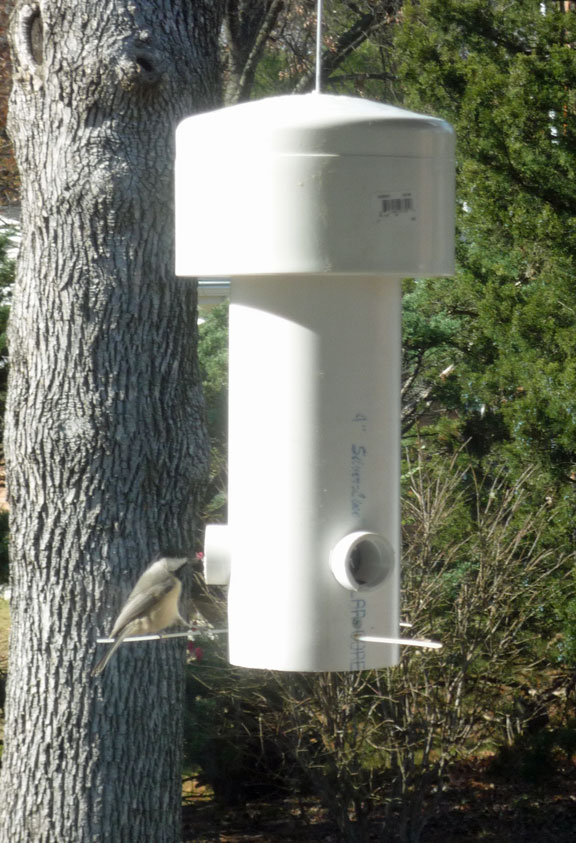 How to Build Wooden Squirrel Proof Bird Feeder Plans PDF Plans