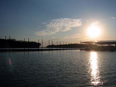 09