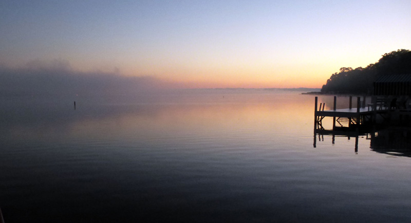 fog